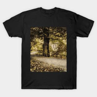 Time of Silence T-Shirt